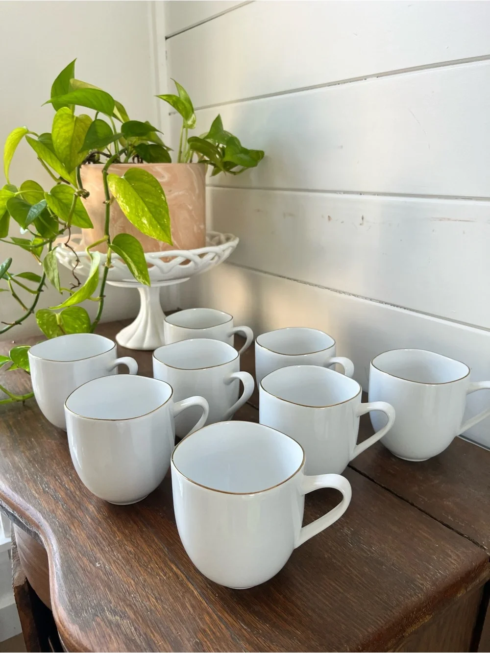 West Elm Organic white Porcelain Gold-Rimmed Mugs set of 8